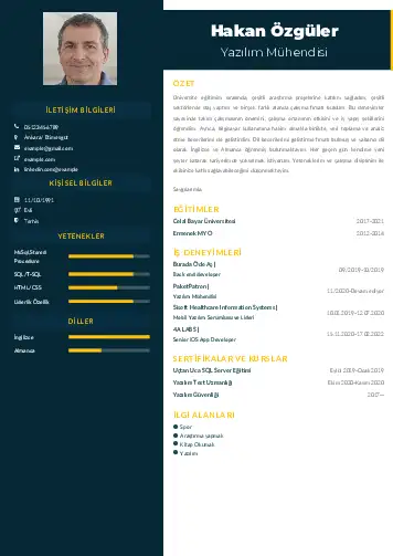 Yazılım Mühendisi Cv Örnekleri cv indir